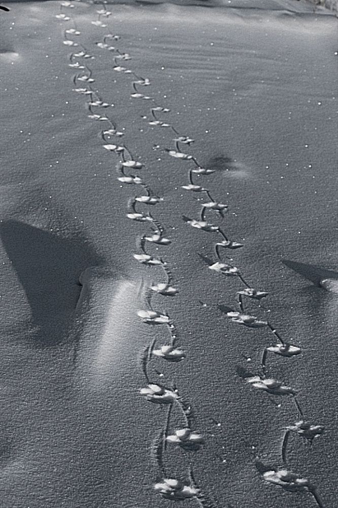 Photograph by Александр Велигура