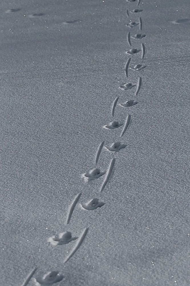 Photograph by Александр Велигура