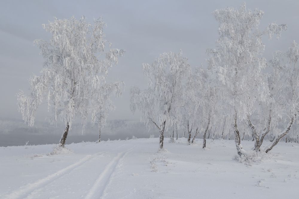 Photograph by Koledova Irina