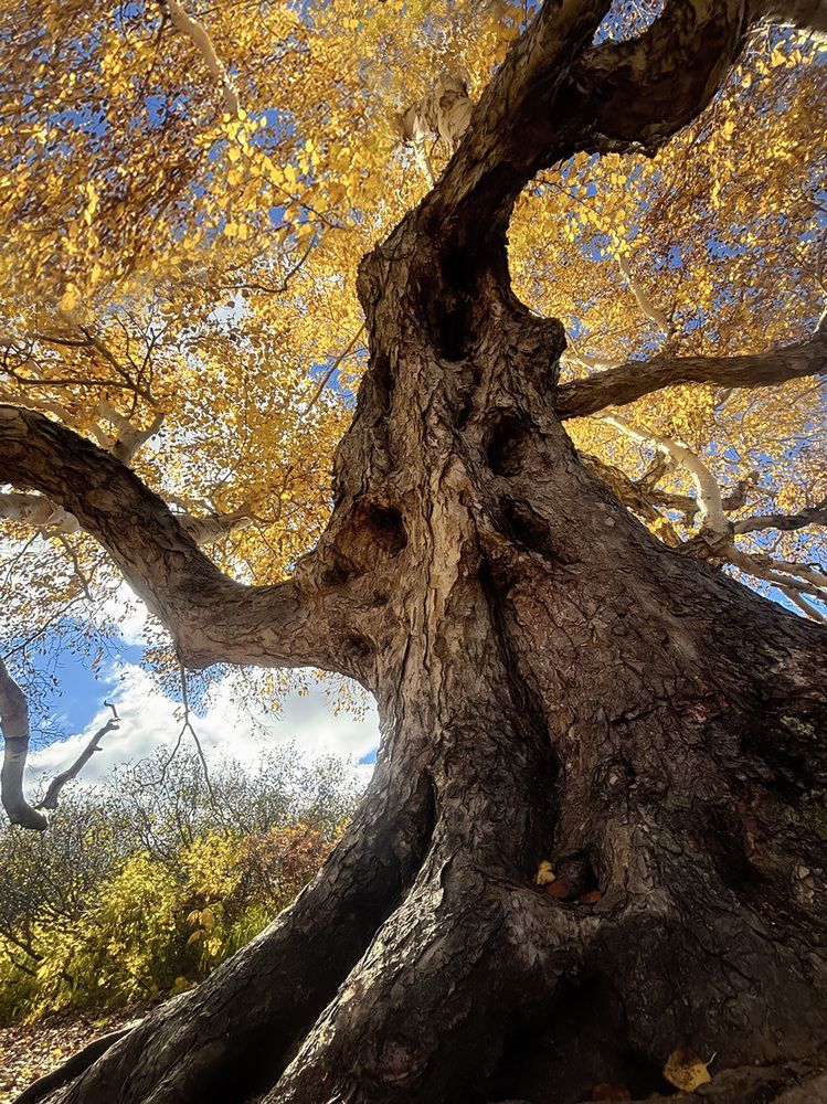 Photograph by Наталья Рыжова