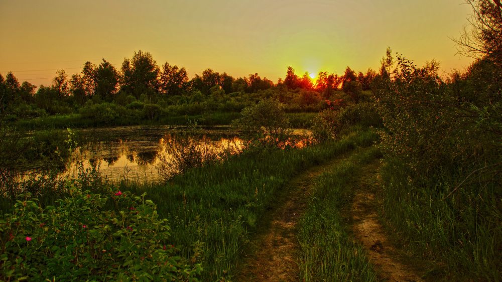 Photograph by Николай Семенов