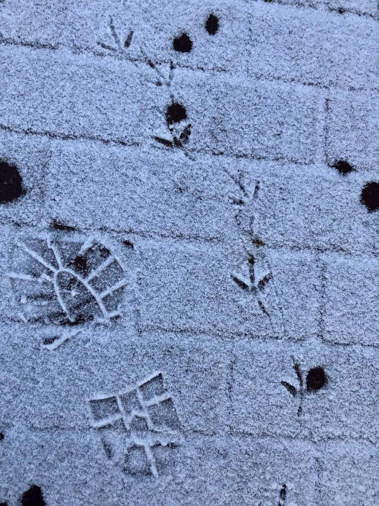 Photograph by Галина Пименова