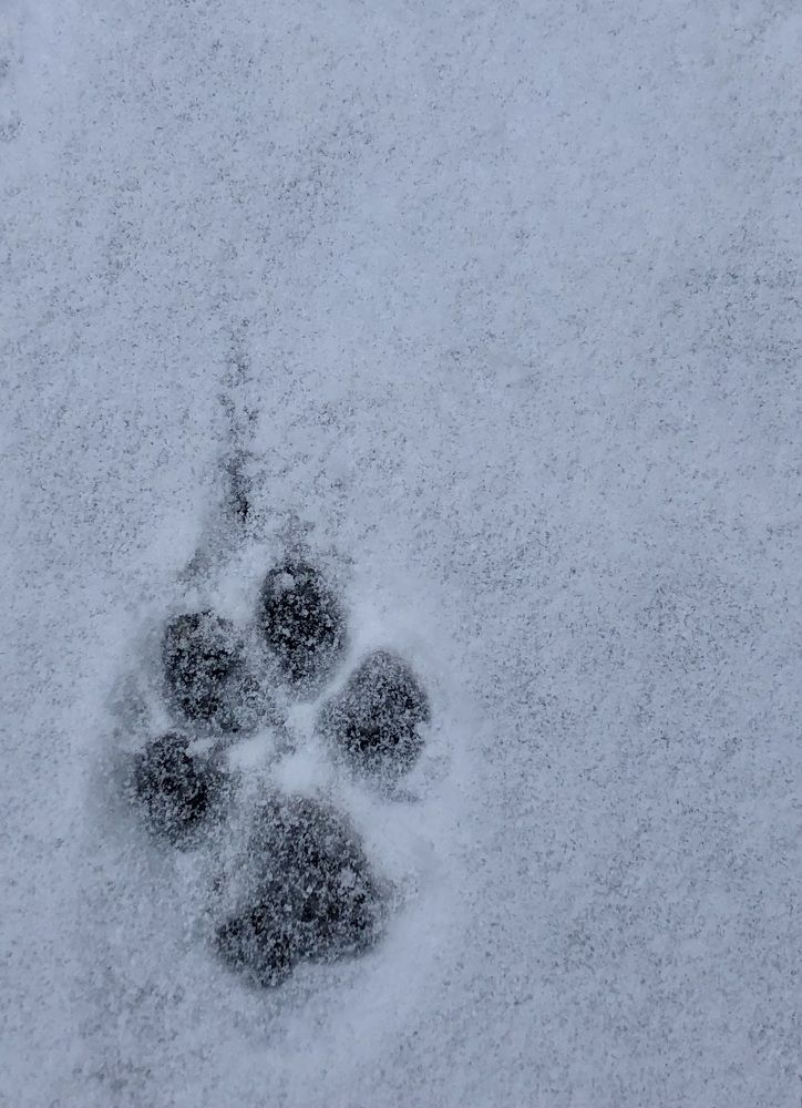 Photograph by Галина Пименова