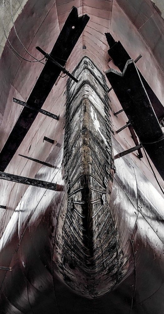 Photograph by Mohammed Rifatul Alam Siam