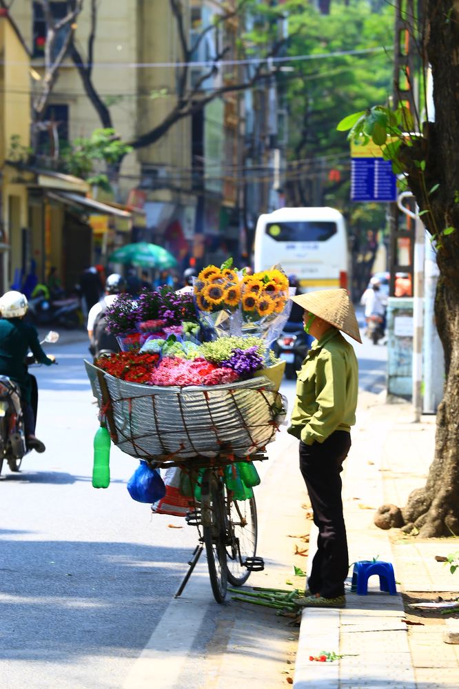 Bicycle Flower in Ha Noi