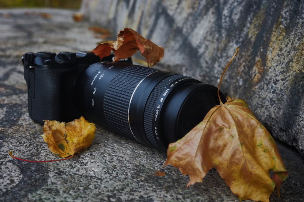 Photograph by Yana Egorova