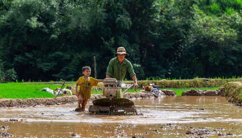 Working on the field