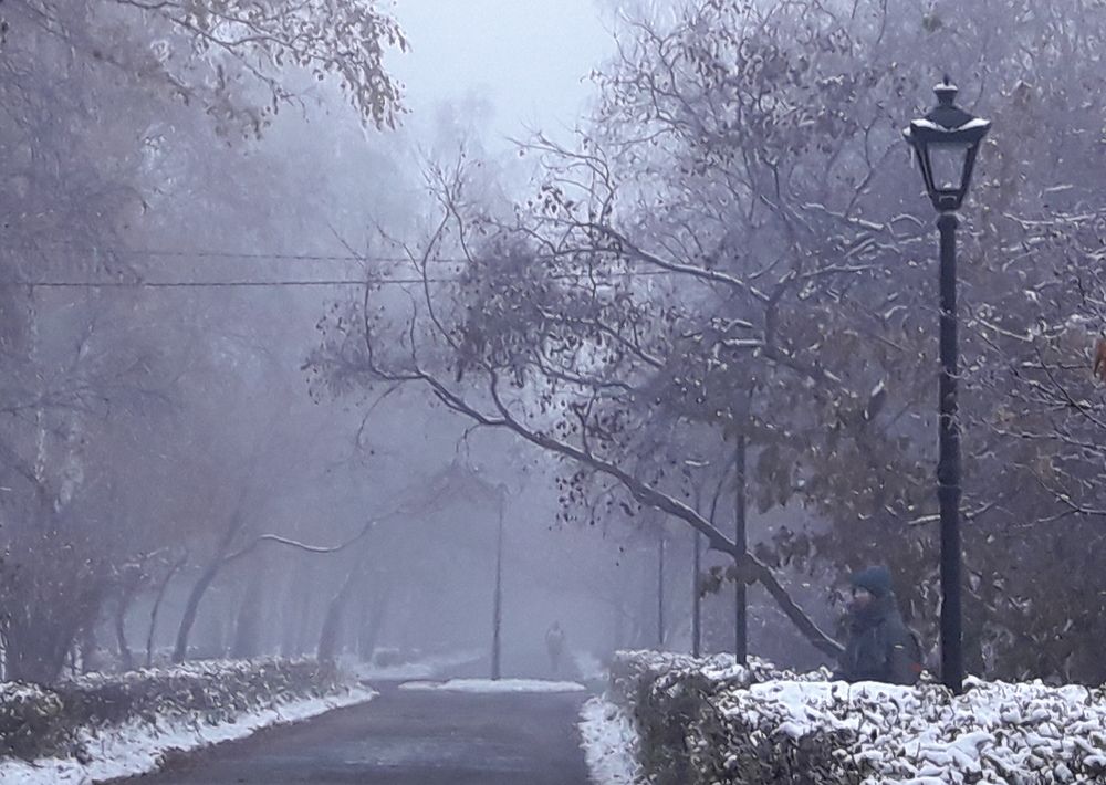 Photograph by Елена Алешкевич