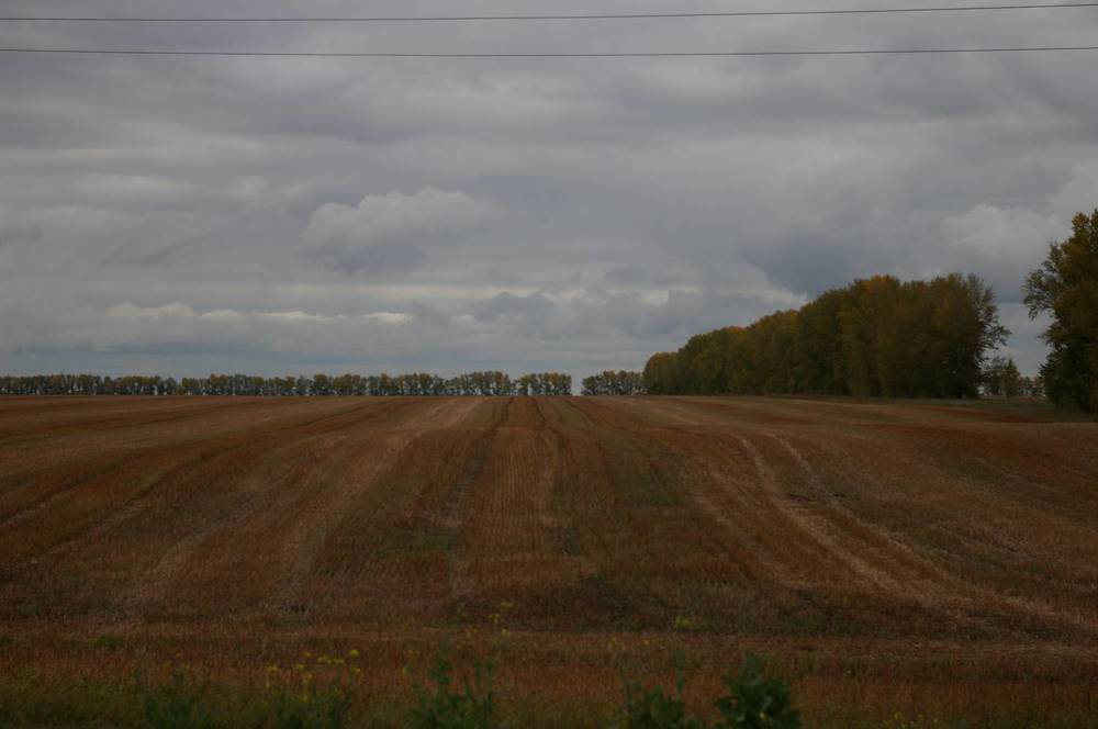 Photograph by Елена Алешкевич