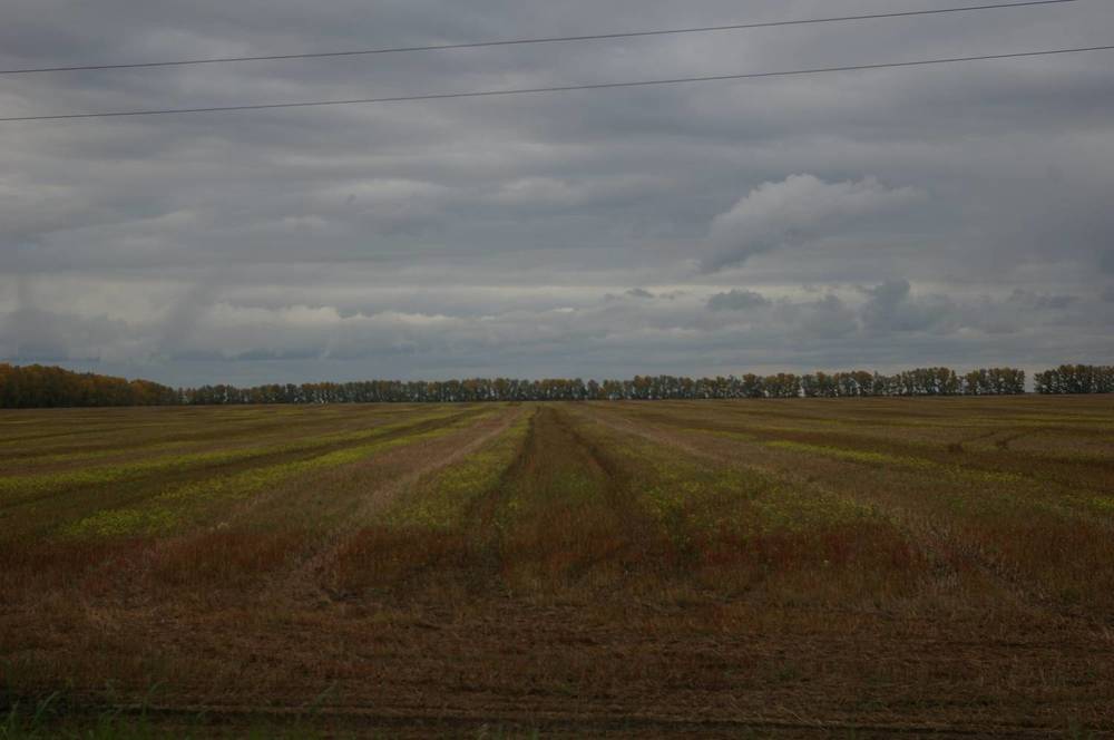 Photograph by Елена Алешкевич