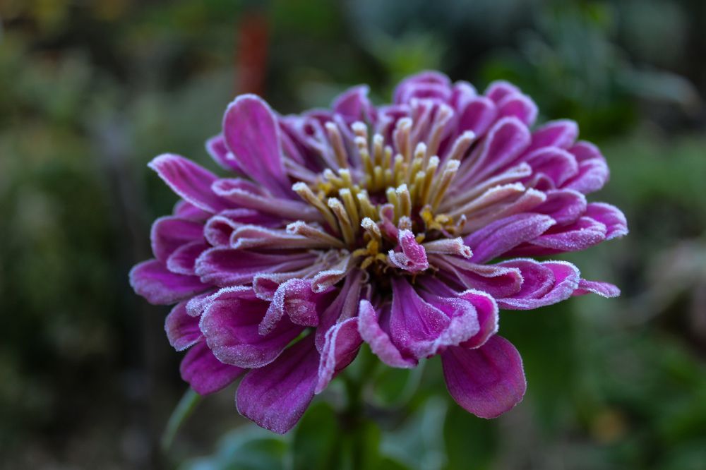 Photograph by Ирина Дмитриенко