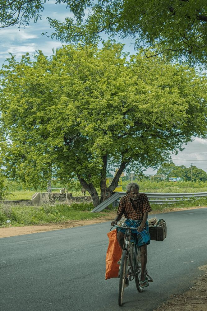 Фотография автора Gurumoorthy