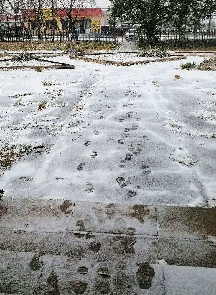 Photograph by Елена Чернякова