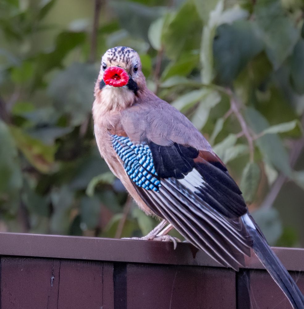 Photograph by Курлянцев Алексей