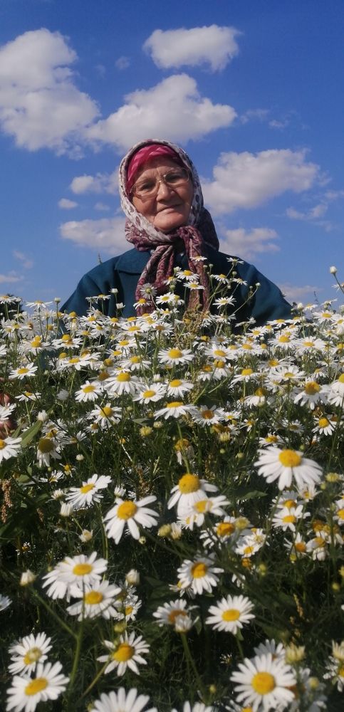 Photograph by Зульфия