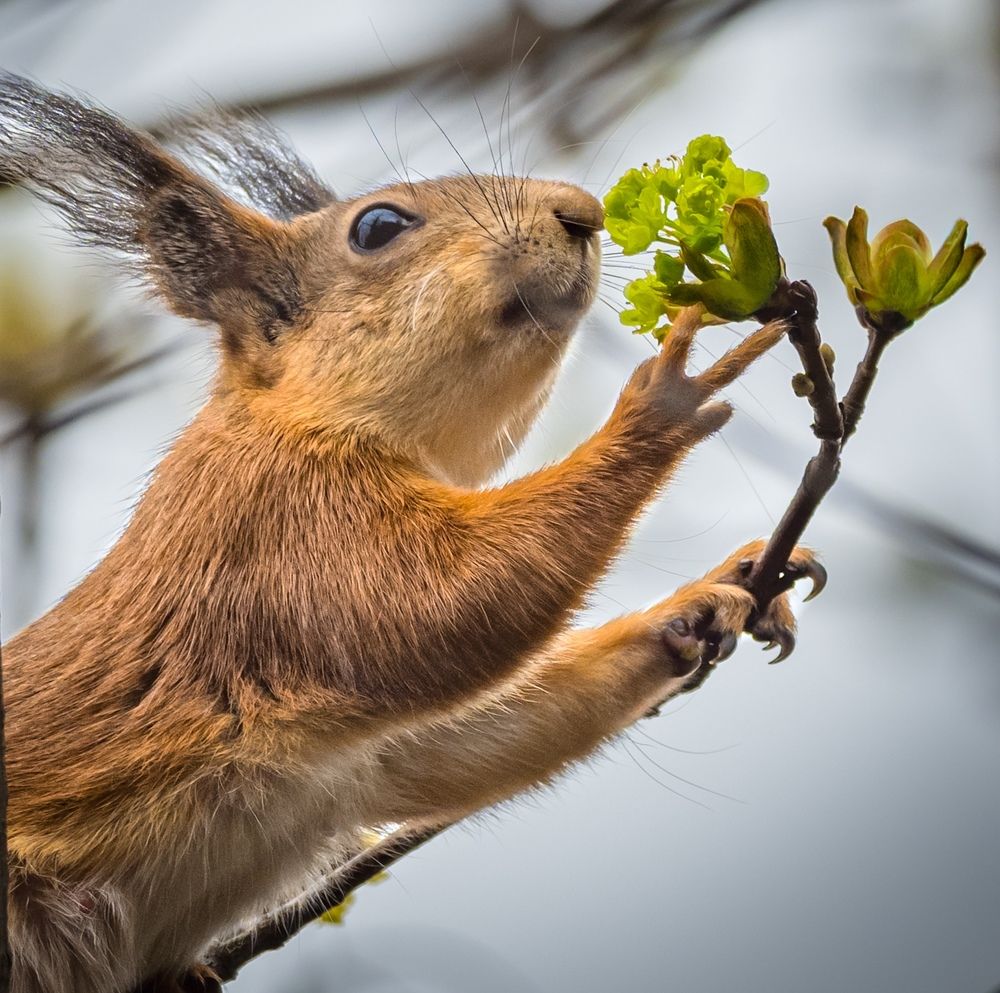 Photograph by Курлянцев Алексей