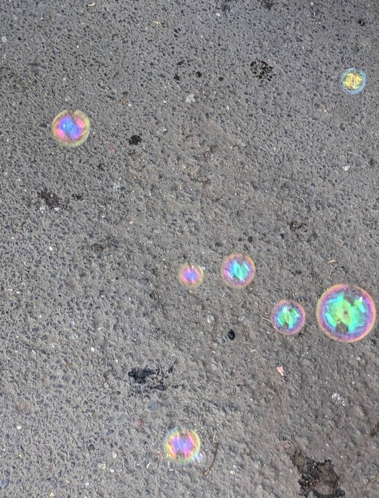 Photograph by Lilit Petrosyan