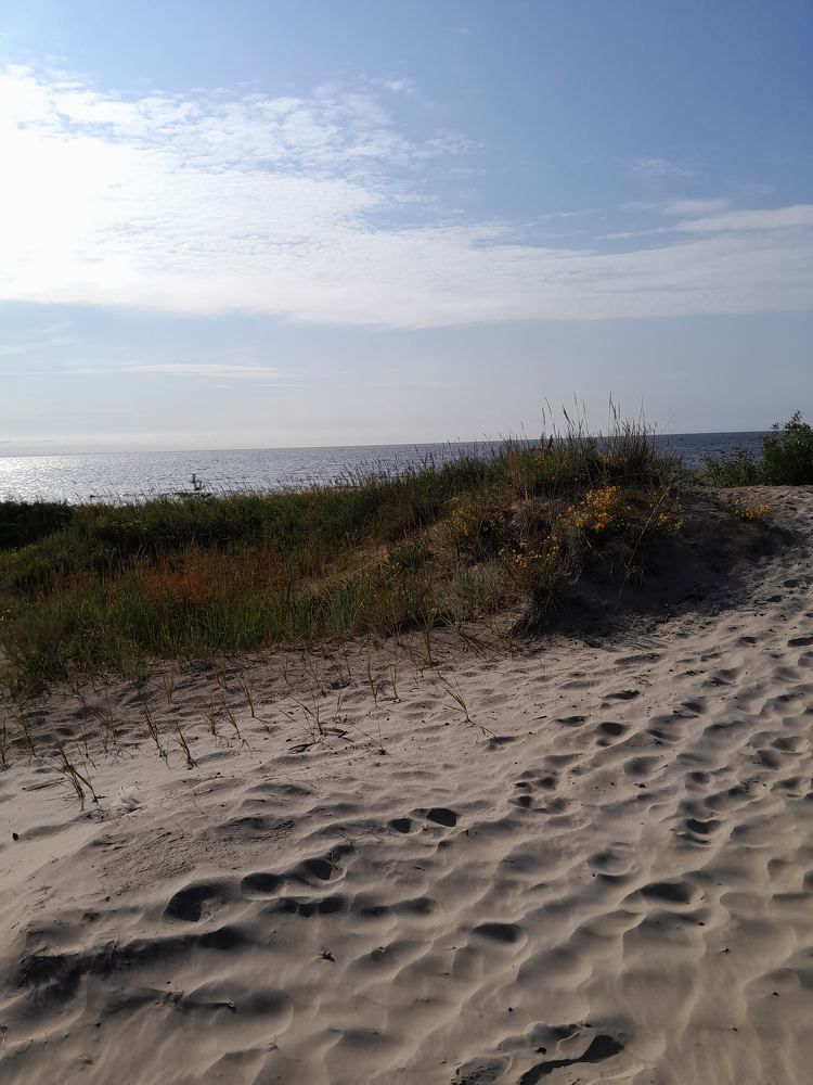 Photograph by Виталий