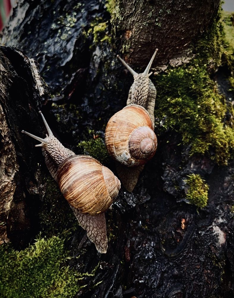 Photograph by Светлана Родионова