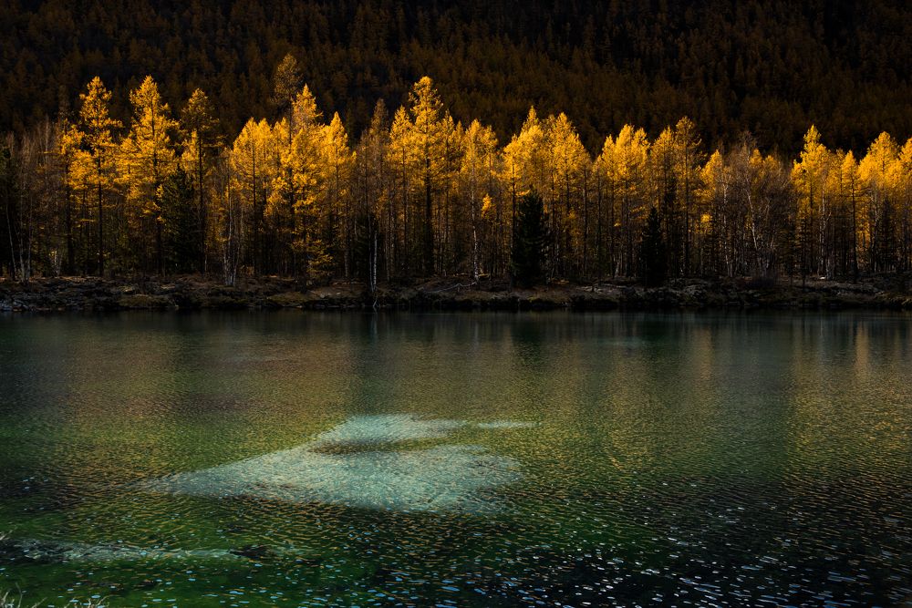 Photograph by Марина Корреа Ластра