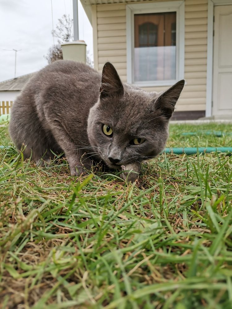 Photograph by Любовь Лунина