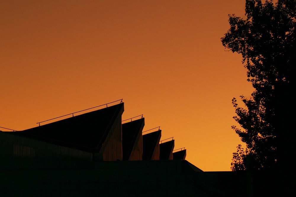 Photograph by Светлана Прокофьева