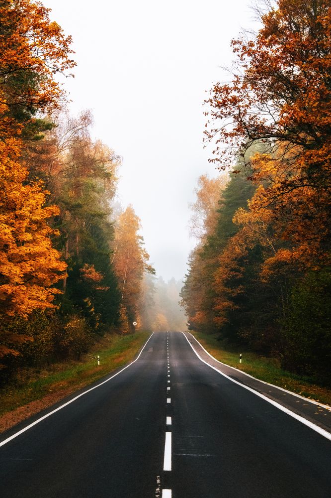 Фотография автора Гуринович Дмитрий