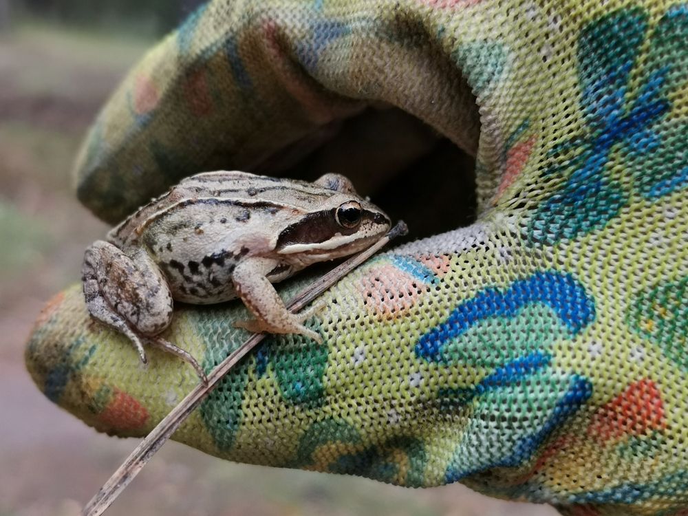 Photograph by Любовь Лунина