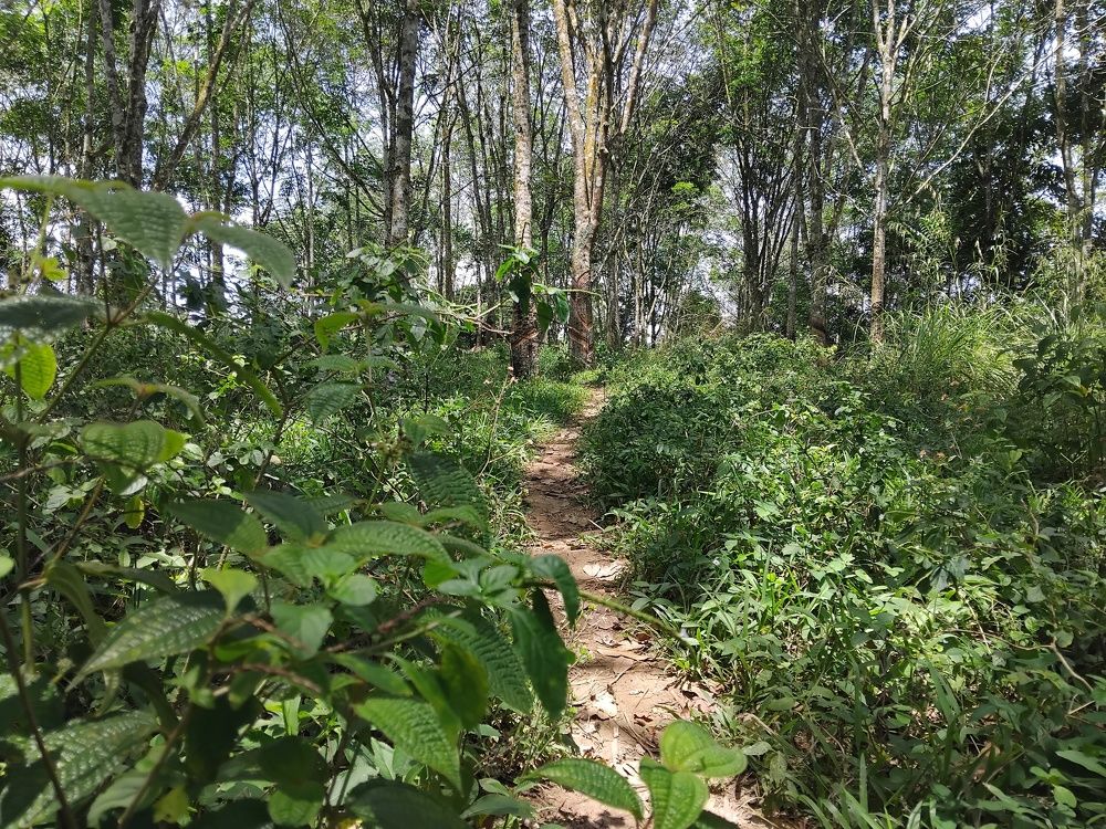 Photograph by adal adams adal