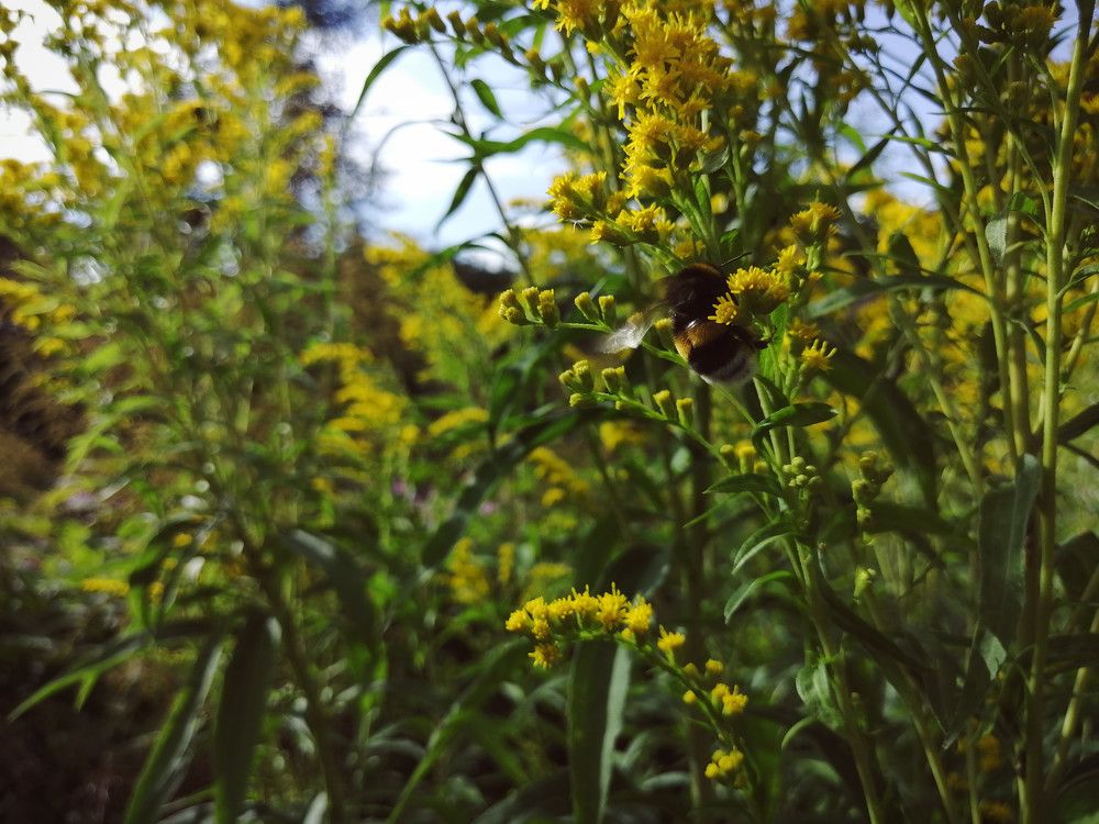 Photograph by Серафима Футлярова