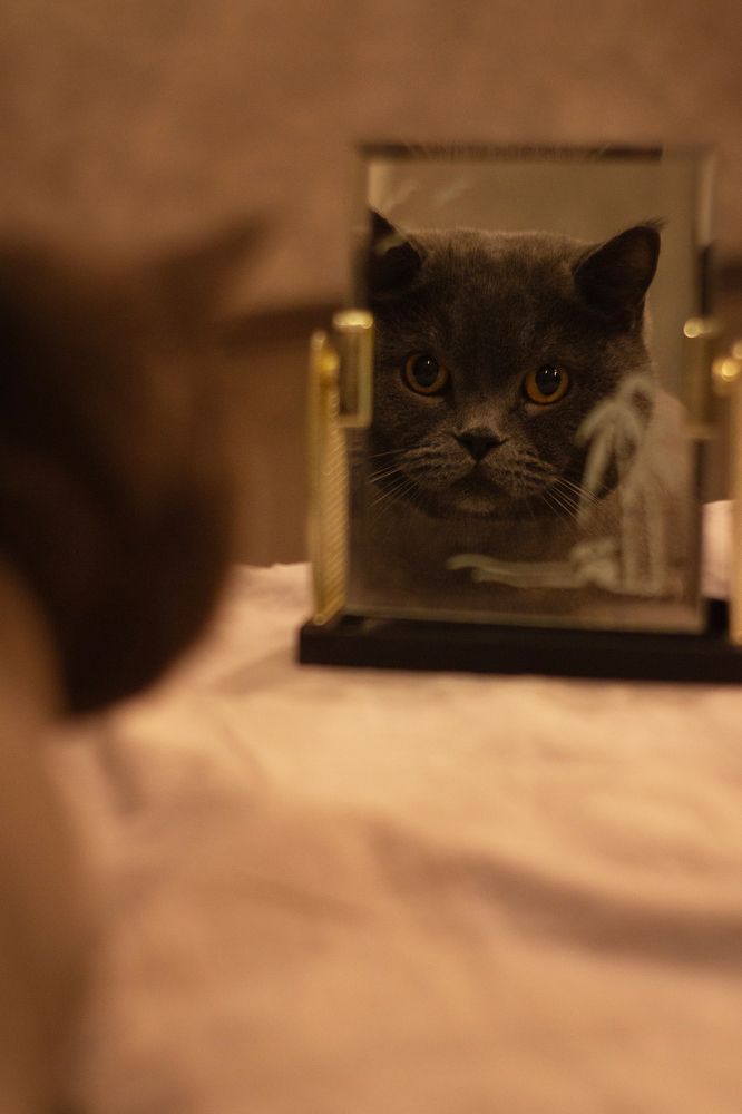 Photograph by Ольга Тютина