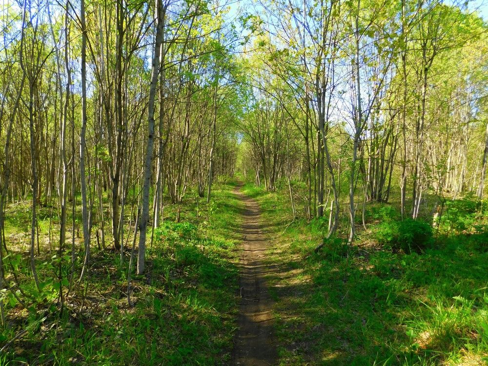 Photograph by Оксана Демидова