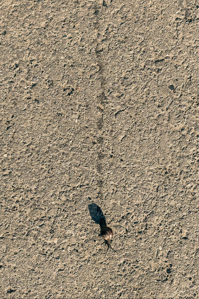 Photograph by Юлия Смирнова