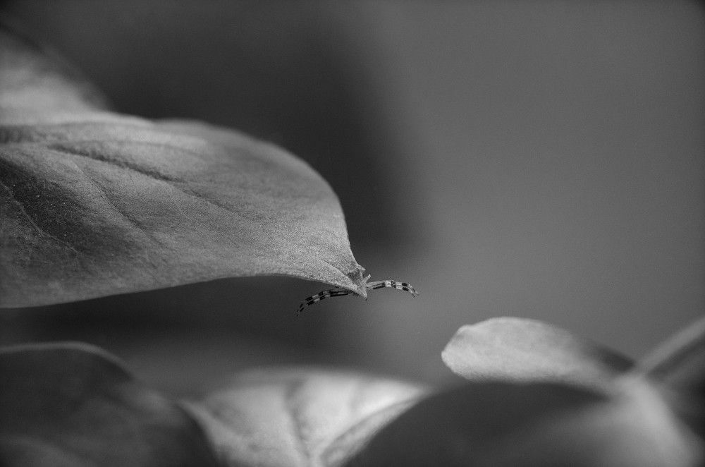 Photograph by Леонид Оплетаев