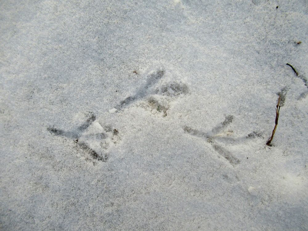 Photograph by Владимир