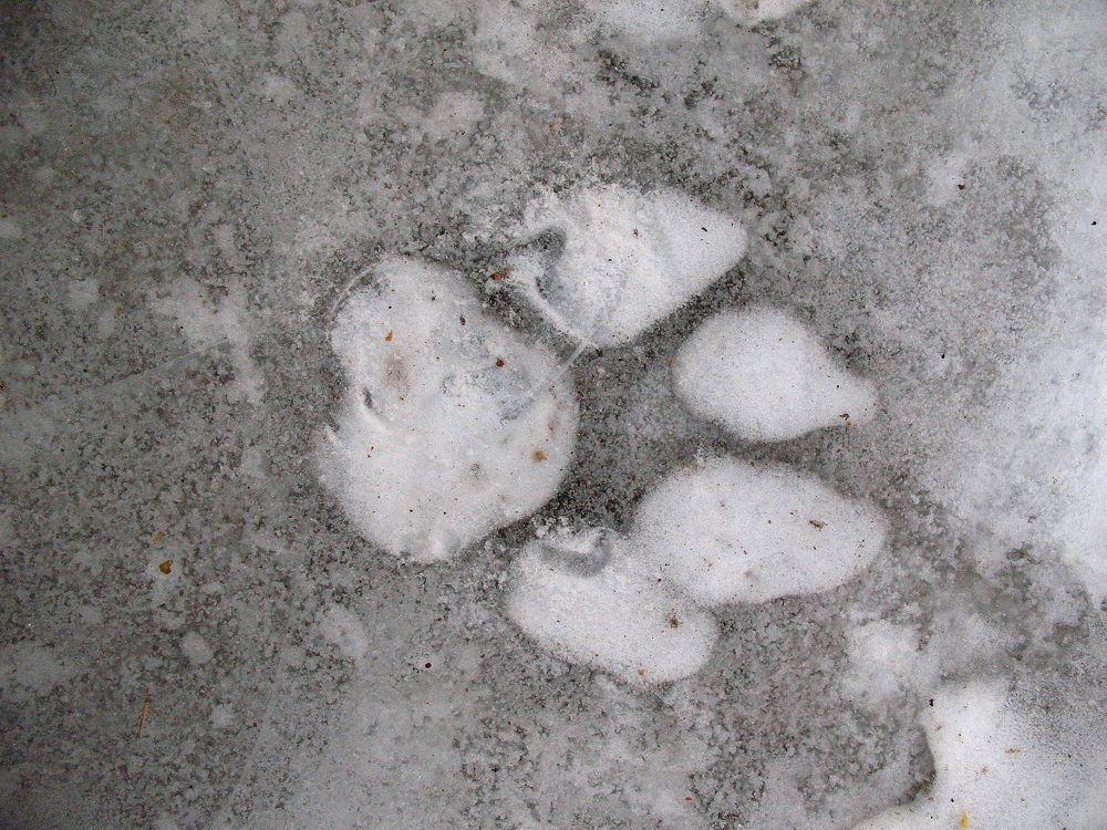 Photograph by Владимир