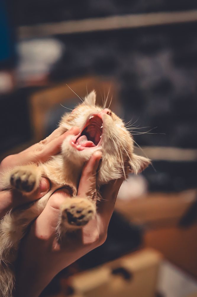 Photograph by Руслана Ковалевская