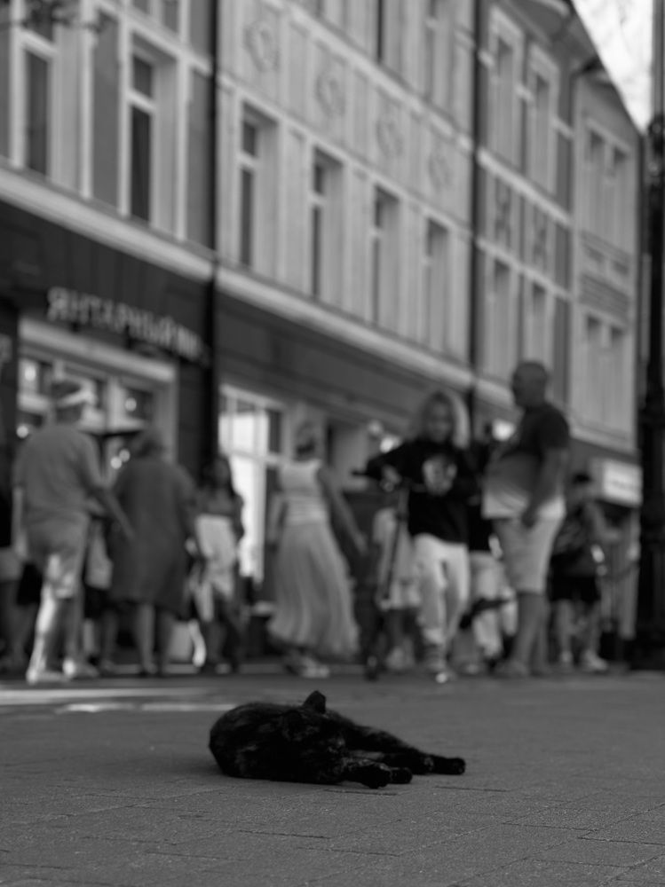 Photograph by Zhanna Kolesnikova