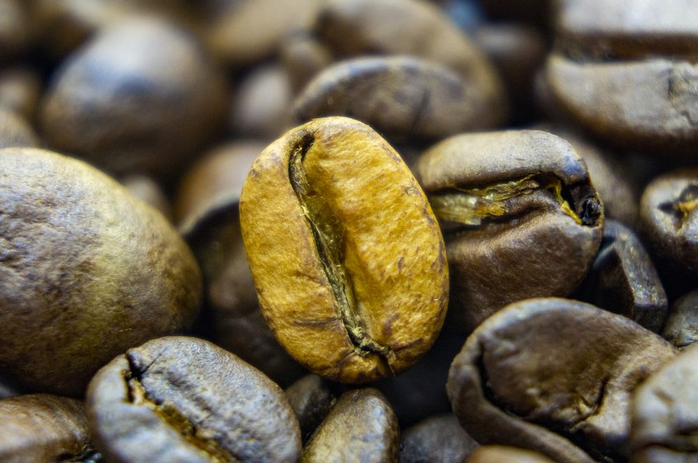 Photograph by Павел Минкевич