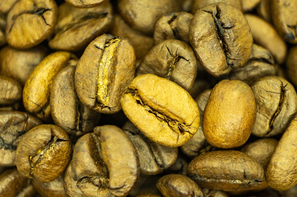 Photograph by Павел Минкевич