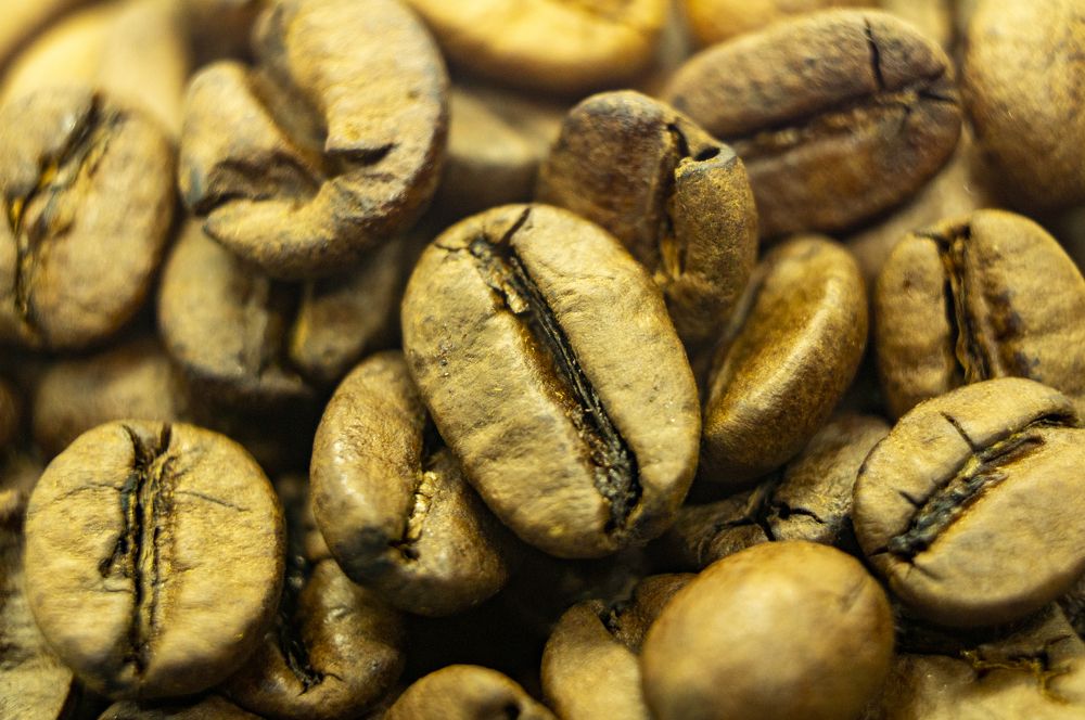 Photograph by Павел Минкевич