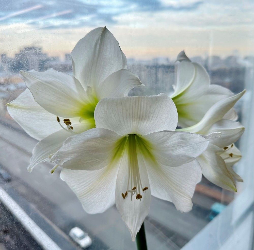Фотография автора Мария Сущенко