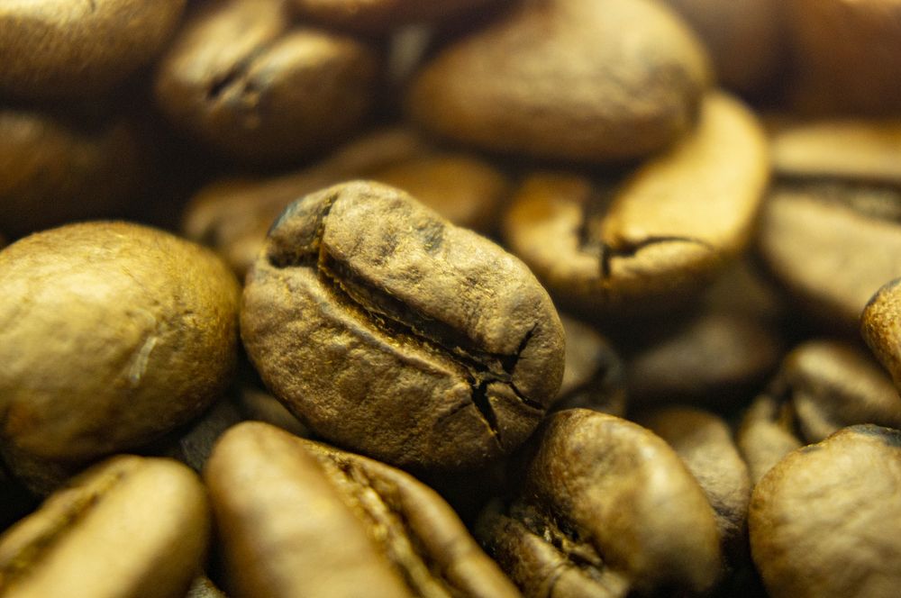 Photograph by Павел Минкевич