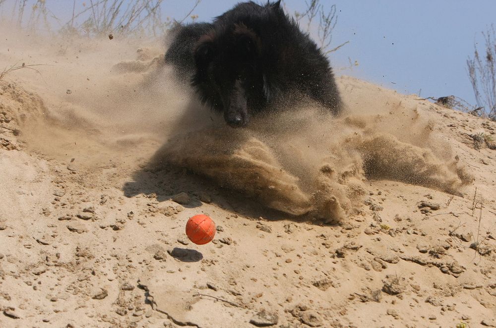Фотография автора Надежда Лисицына