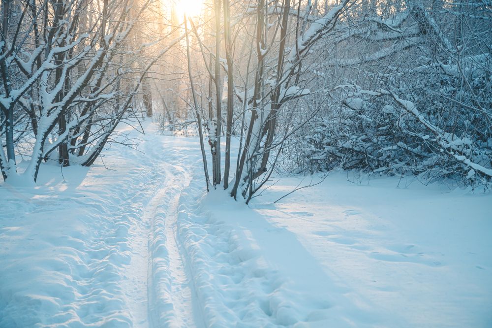 Photograph by Ольга Ильина