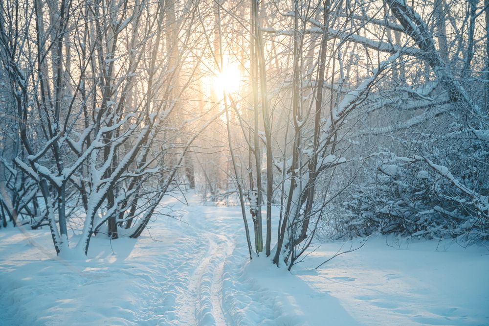 Photograph by Ольга Ильина