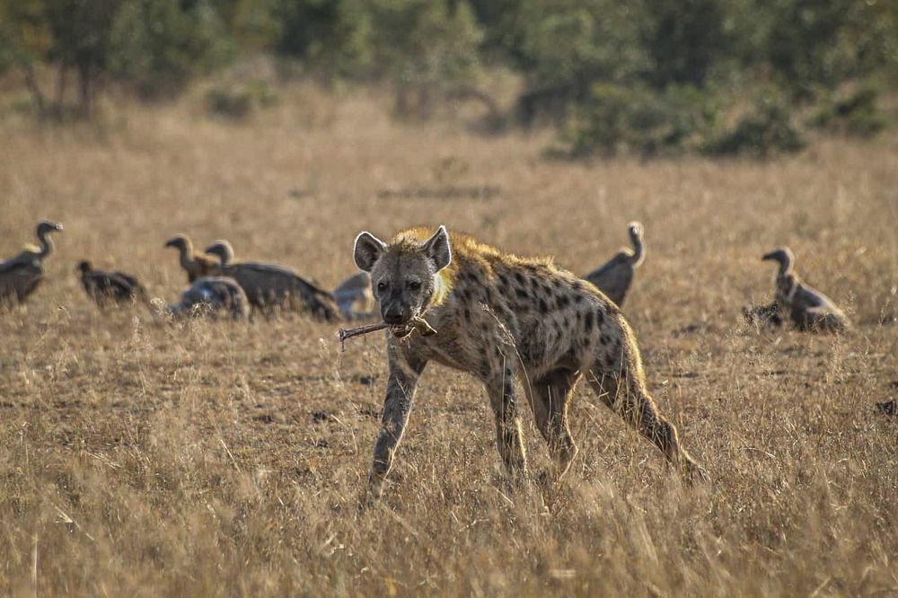 Photograph by Keegan Boland