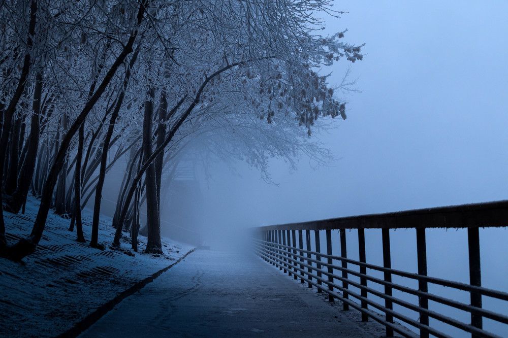 Фотография автора Данута Шурпатова