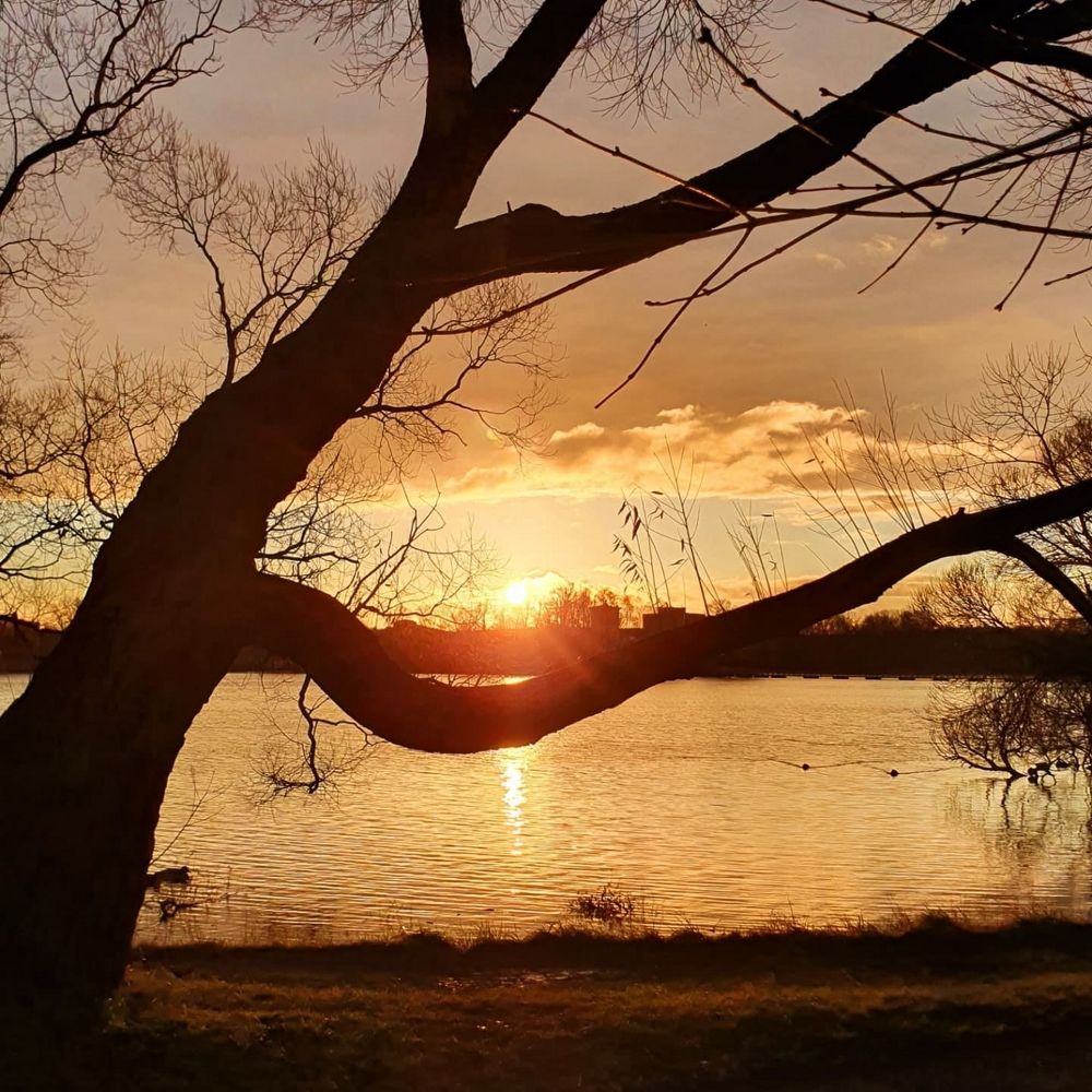 Photograph by Александра Борисовна