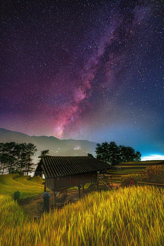 Photograph by Tran Phuong